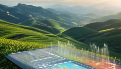 茶山信息化财务咨询价格解析，价格透明度、费用结构、咨询服务