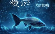 老鱼信息技术咨询服务，智慧未来，选你！