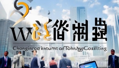 重庆维锦度信息技术咨询，助力企业发展，成就未来