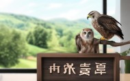 瑾莲信息咨询服务部，隐私与法律双翼守护