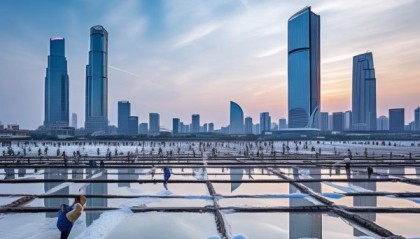 盐城在数字转型中的战略定位与机遇与挑战，政府支持与技术应用的结合