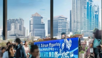 西华县信息咨询服务公司，助力社会经济发展