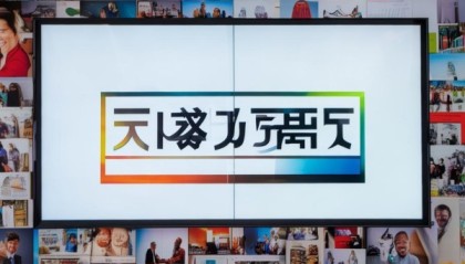 三禾信息咨询服务，成功案例与市场趋势