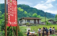 信息咨询服务助力乡村振兴，赋能社会