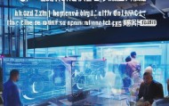 定州鸿禾信息咨询服务有限公司，助力企业数字化转型的得力伙伴