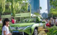 肇庆市汽车信息咨询服务，助力绿色出行与高质量发展