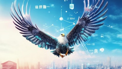 羽飞通，信息咨询服务领域的崛起者