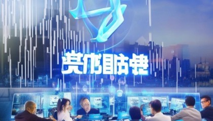 迪跃信息技术咨询助力企业数字化升级