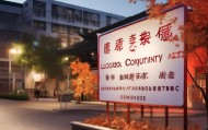 洛浦县枫桥信息咨询服务，助力社会治理现代化