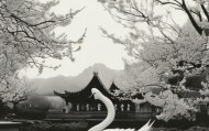 墨书雁传，服务在伊宁