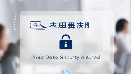 轮台信息咨询服务，你的数据安全保障