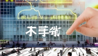 鸿盛信息咨询服务部，机遇与挑战解析