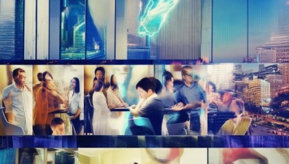 沧州市枫丰信息技术咨询，助力沧州市区经济发展