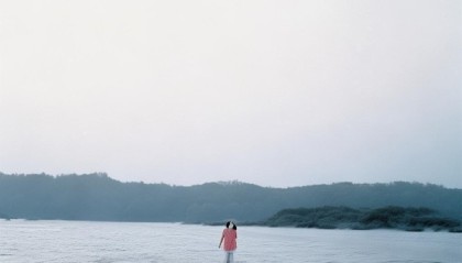 啄木鸟与丽江，为您解读信息咨询服务的机遇与挑战