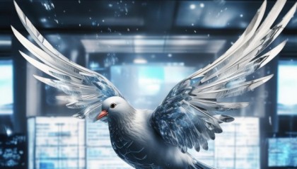 silver鸽，信息化咨询服务资质助力企业数字化转型