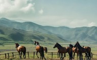 阳曲信息化神都马术咨询，leveraging technology for the beauty of nature