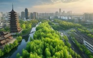 南京，竹子时代，绿色新起点