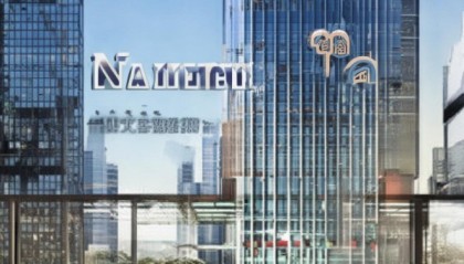 南丰，信息咨询服务领域的领导者与创新者