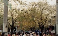佛山谨诺思信息技术咨询中心，助力企业数字化转型的智慧平台