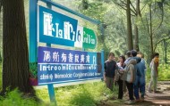林甸信息咨询服务，助力地方发展