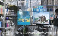 信息咨询服务领域的专业与担当—记海口龙华区宋宋信息咨询服务的发展与贡献