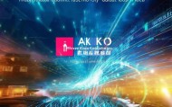 安徽科奥信息技术咨询有限公司，赋能数字化转型，拥抱未来