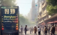 镇远信息咨询服务，机遇与挑战