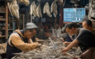 凤冈县，disguise工区的专业与精准，提供全方位的信息咨询服务