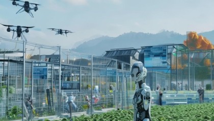 河南省宇智信息化咨询，助力乡村振兴的科技支撑