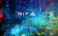 金桔万象信息技术咨询，赋能未来，成就成功