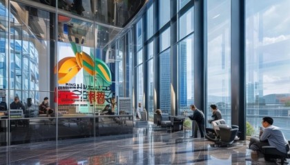 明悦信息技术咨询公司，精准定位新疆发展，提供专业定制的解决方案，助力区域经济发展！