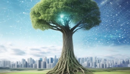 天然之眼，浈江信息咨询服务，助力企业数字化转型的强劲引擎