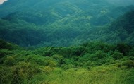 饶河，信息咨询服务的创新与服务