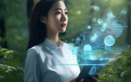 森瑜雯，信息咨询服务领域的创新解决方案