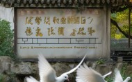 兰州白鸽信息咨询服务部，助力您获取白鸽信息