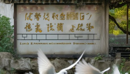 兰州白鸽信息咨询服务部，助力您获取白鸽信息