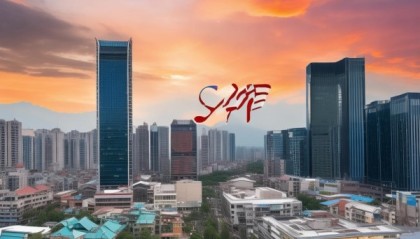 见证四川，鸿翔博信息技术咨询有限公司的崛起与成就