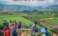 东乡县信息咨询服务，助力乡村振兴的创新实践