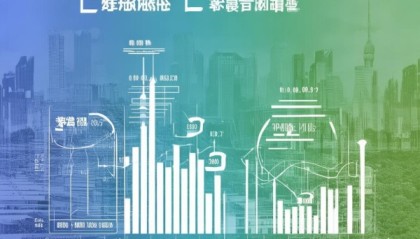 上海信息化咨询市场价值与价格趋势