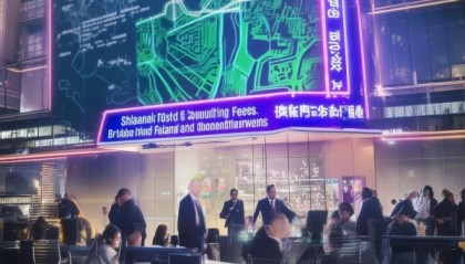 上海信息技术咨询费用，吸引人才与提升竞争力的双刃剑