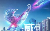 武汉比翼鸟信息技术咨询，助力企业实现真正意义上的数字化转型