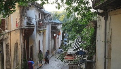 沈阳久禾信息咨询服务，专业与创新的双轮驱动