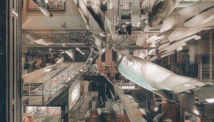 保税区信息咨询服务，助力经济高质量发展