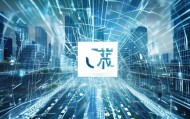 郑州禾赛信息技术咨询有限公司助力数字经济发展服务