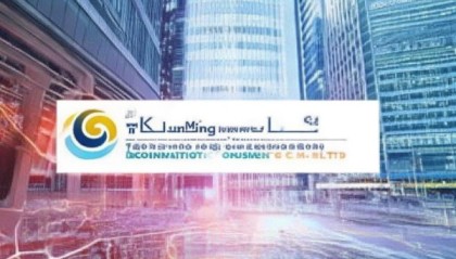 昆明林盛信息技术咨询有限公司，信息时代的专业回答