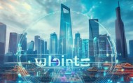 ubits、上海信息化管理，蓝海市场的机遇与未来展望
