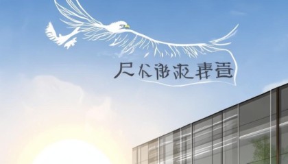 腾飞信息咨询服务，精准决策的信赖伙伴