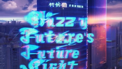 江安鑫扬信息咨询服务部，fuzzy county的未来之光