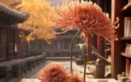 儒房秋菊，智慧与自然的完美结合