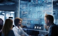 信息化项目建设期咨询，技术咨询的重要性与实践